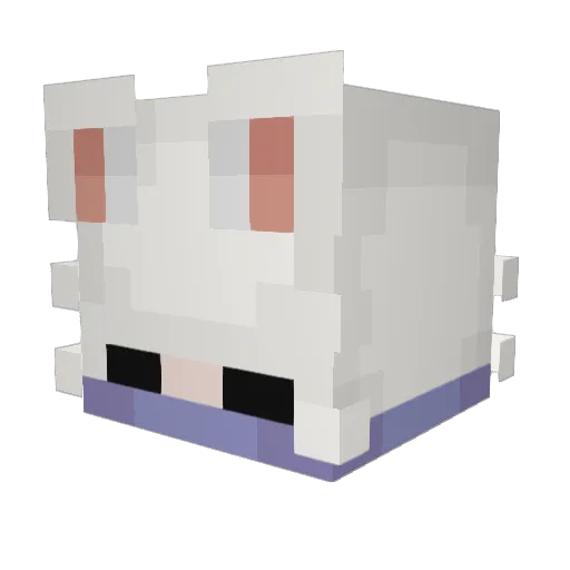 Lychee_DS Minecraft avatar head, 3D render