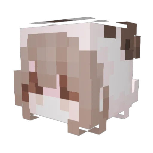 Lycoris0814 Minecraft avatar head, 3D render