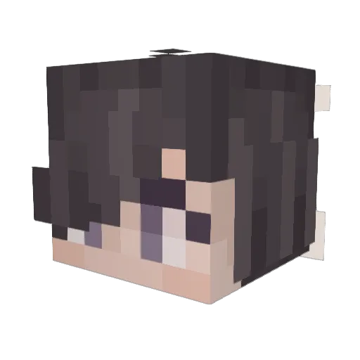 Lydarise Minecraft avatar head, 3D render