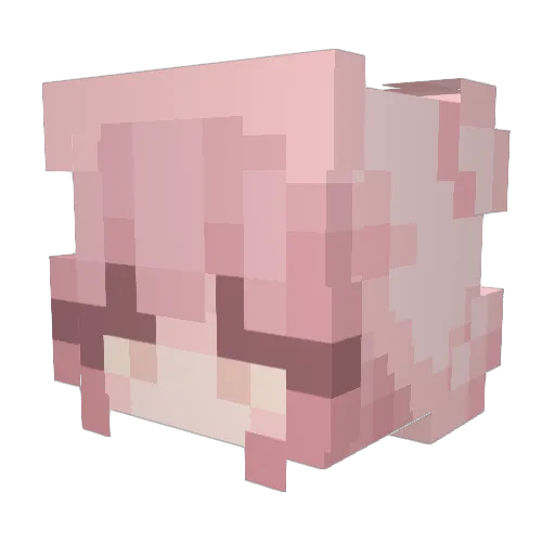 Lydiaaa_1028 Minecraft avatar head, 3D render