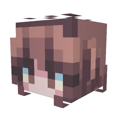 Lydz1 Minecraft avatar head, 3D render