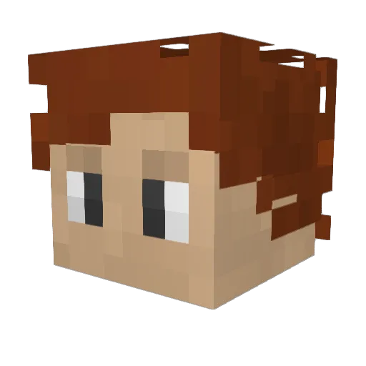 LyghtningWither Minecraft avatar head, 3D render
