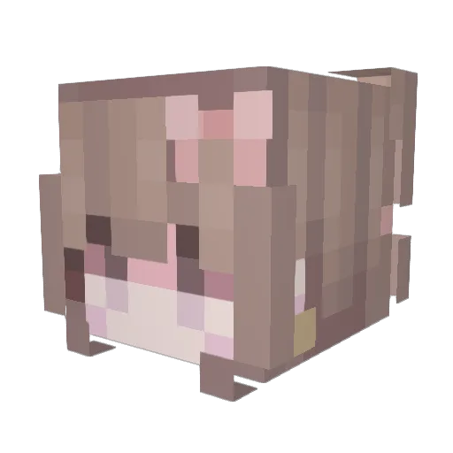Lyinhan Minecraft avatar head, 3D render