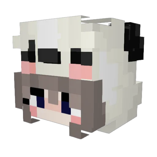 Lyla6262 Minecraft avatar head, 3D render
