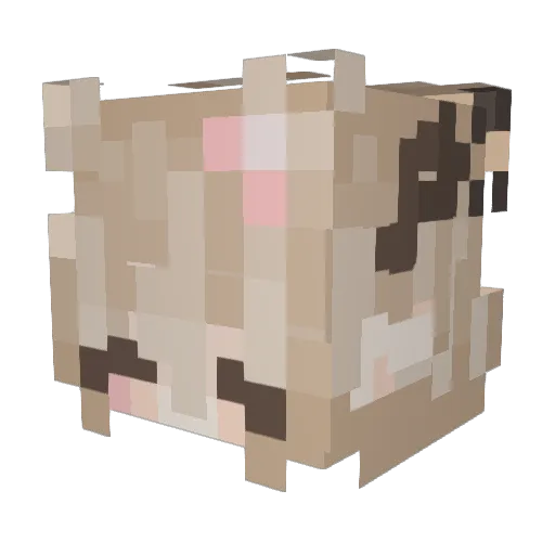 Lyla_Jude Minecraft avatar head, 3D render