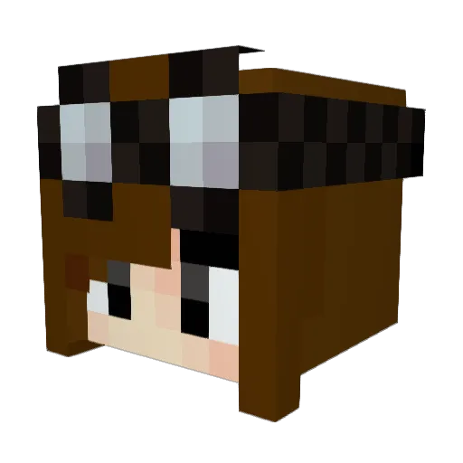 Lyla_Lynn Minecraft avatar head, 3D render
