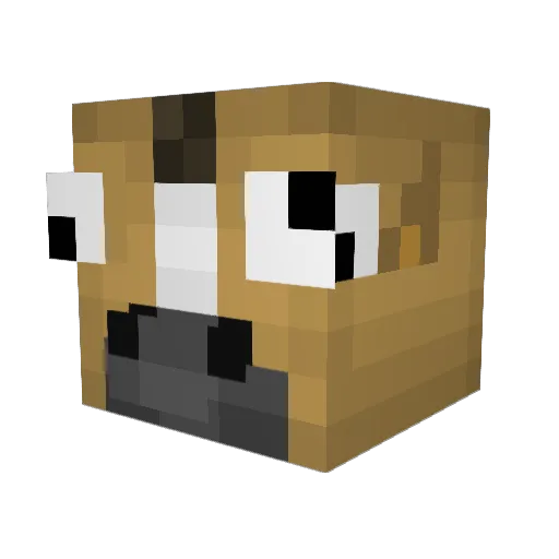 Lyladayle Minecraft avatar head, 3D render