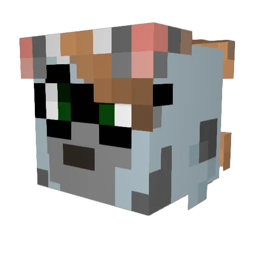 Lylu22 Minecraft avatar head, 3D render
