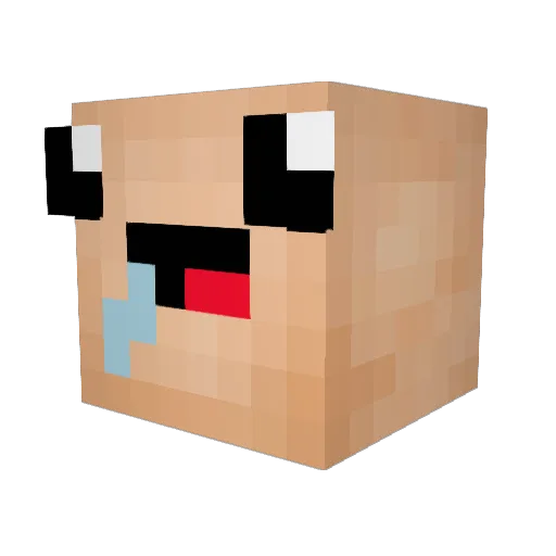 Lyly63 Minecraft avatar head, 3D render