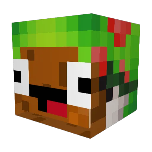 LymeCookie Minecraft avatar head, 3D render