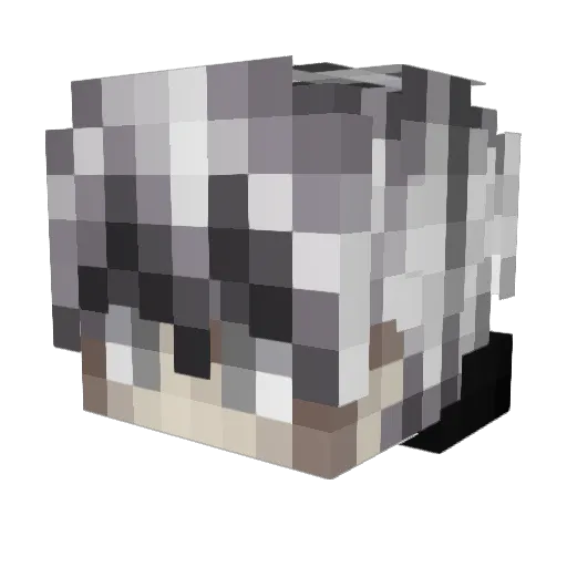 LymrS98 Minecraft avatar head, 3D render