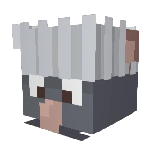 Lyn100k Minecraft avatar head, 3D render