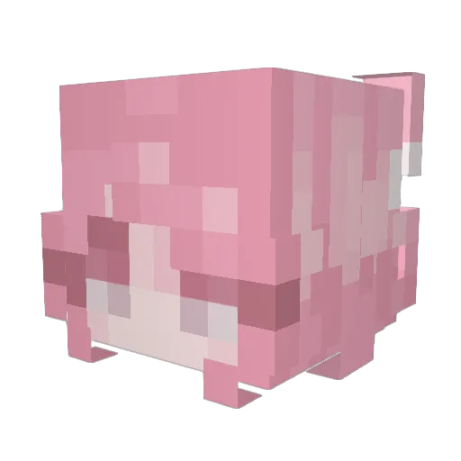Lyn661 Minecraft avatar head, 3D render
