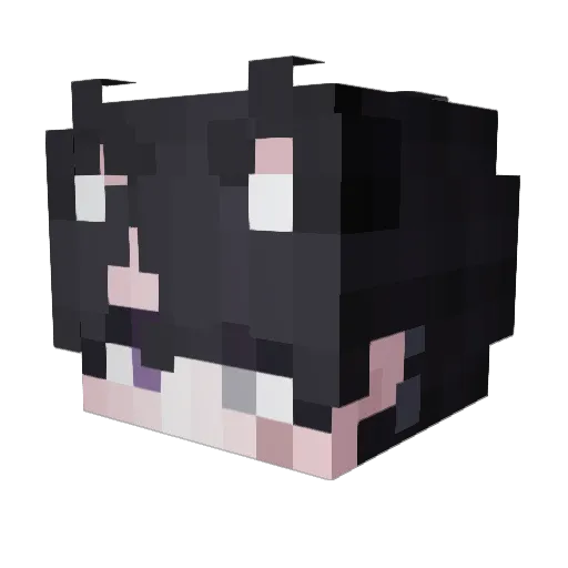 Lyn__x Minecraft avatar head, 3D render
