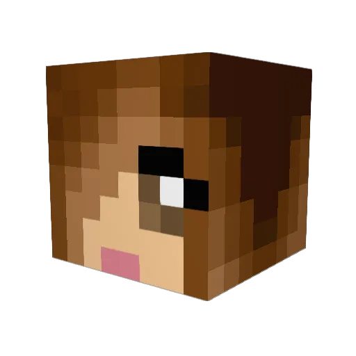 Lynaren Minecraft avatar head, 3D render