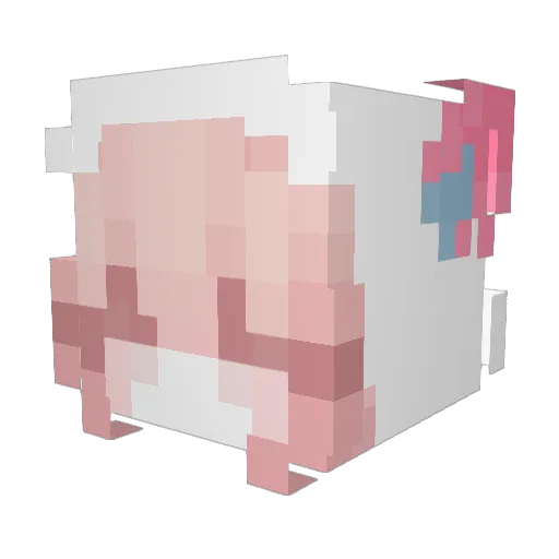Lynarii_ Minecraft avatar head, 3D render