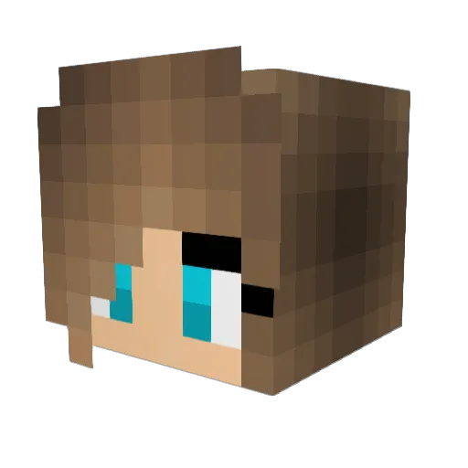 Lynash113 Minecraft avatar head, 3D render