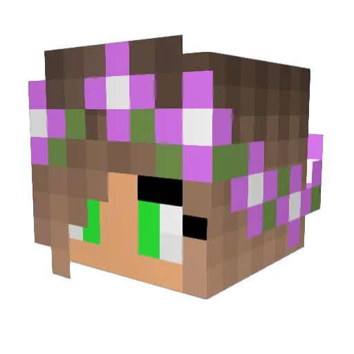 Lyndn Minecraft avatar head, 3D render