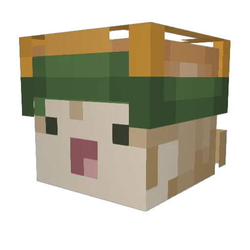 Lynix8 Minecraft avatar head, 3D render