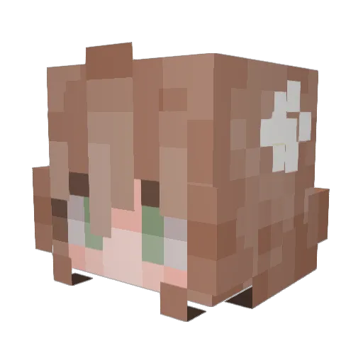 Lynlaeth Minecraft avatar head, 3D render