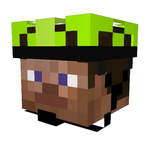 Lynmand Minecraft avatar head, 3D render