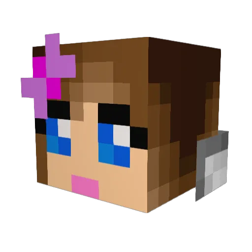 Lynn00 Minecraft avatar head, 3D render