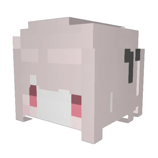 Lynn40 Minecraft avatar head, 3D render