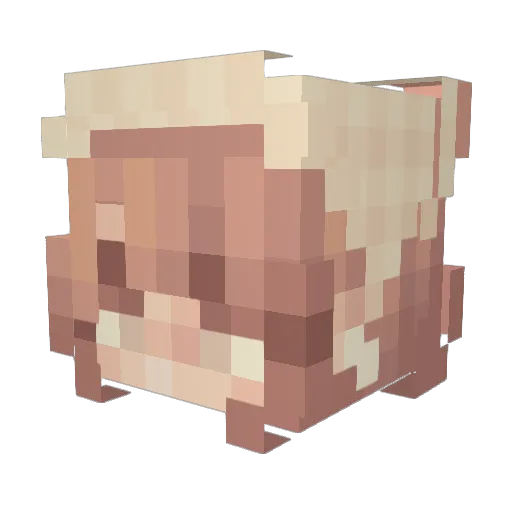 LynnUwU Minecraft avatar head, 3D render