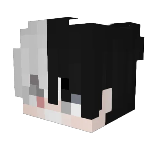Lynnhe Minecraft avatar head, 3D render
