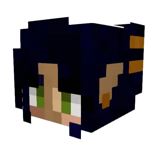 Lynnstitution Minecraft avatar head, 3D render