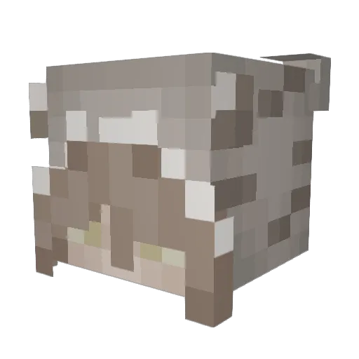 Lynnsuxks Minecraft avatar head, 3D render