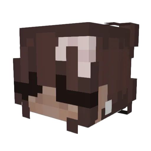 LynnyBynny Minecraft avatar head, 3D render