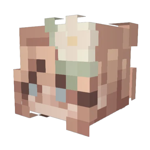 Lynsbeau Minecraft avatar head, 3D render
