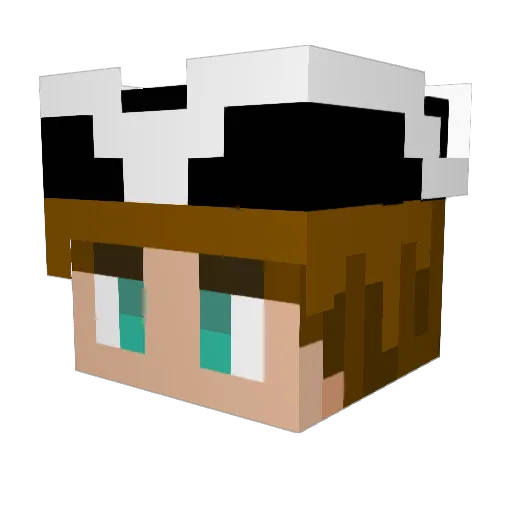 Lynsk3y1 Minecraft avatar head, 3D render