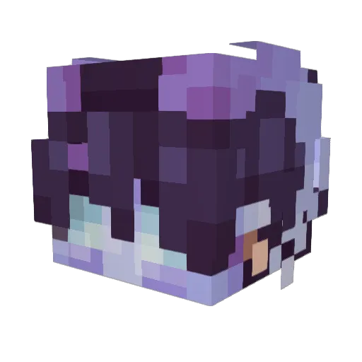 Lynx12_2010 Minecraft avatar head, 3D render