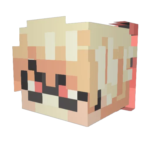 Lynx404 Minecraft avatar head, 3D render