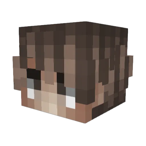 Lynx42 Minecraft avatar head, 3D render
