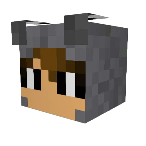 Lynx98 Minecraft avatar head, 3D render