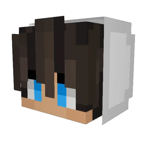 Lynxy_14 Minecraft avatar head, 3D render