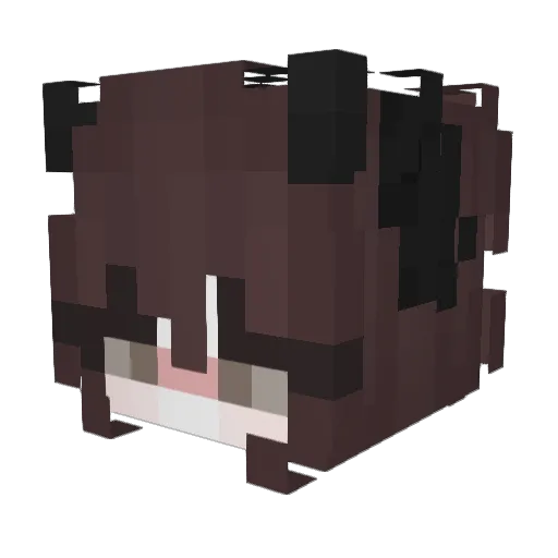 Lyon3Paulyte Minecraft avatar head, 3D render