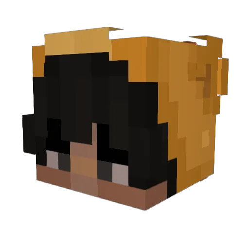 LyonPlays Minecraft avatar head, 3D render