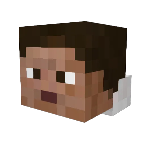 Lyons41 Minecraft avatar head, 3D render