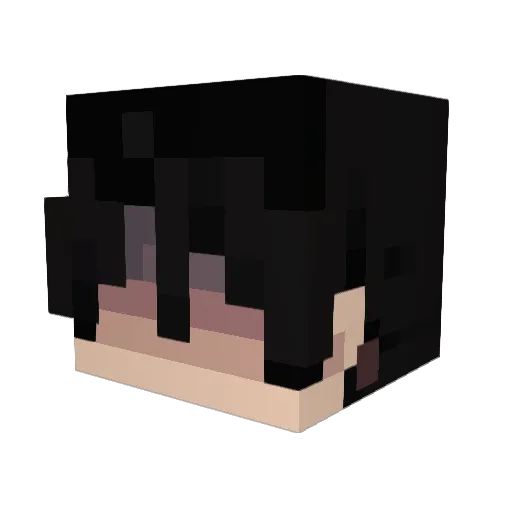 Lyop Minecraft avatar head, 3D render