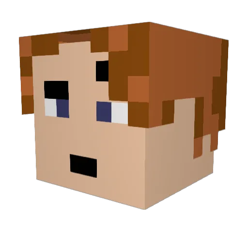 Lyophilized Minecraft avatar head, 3D render