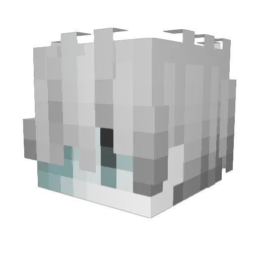 Lyqz_YT Minecraft avatar head, 3D render