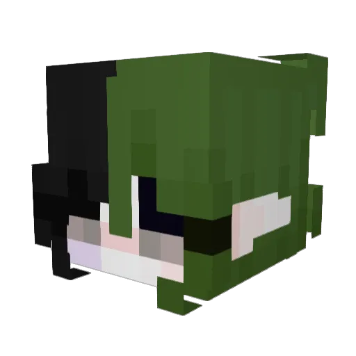 Lyra1379 Minecraft avatar head, 3D render