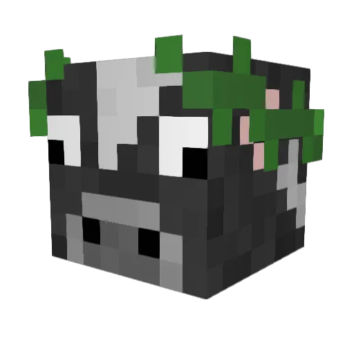 Lyra214 Minecraft avatar head, 3D render