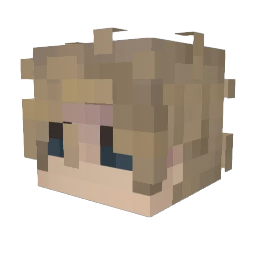 Lyra490 Minecraft avatar head, 3D render