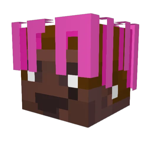 Lyradd Minecraft avatar head, 3D render