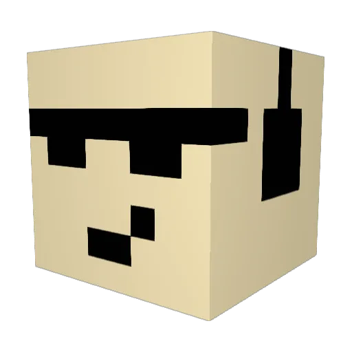 LyricSeal802153 Minecraft avatar head, 3D render